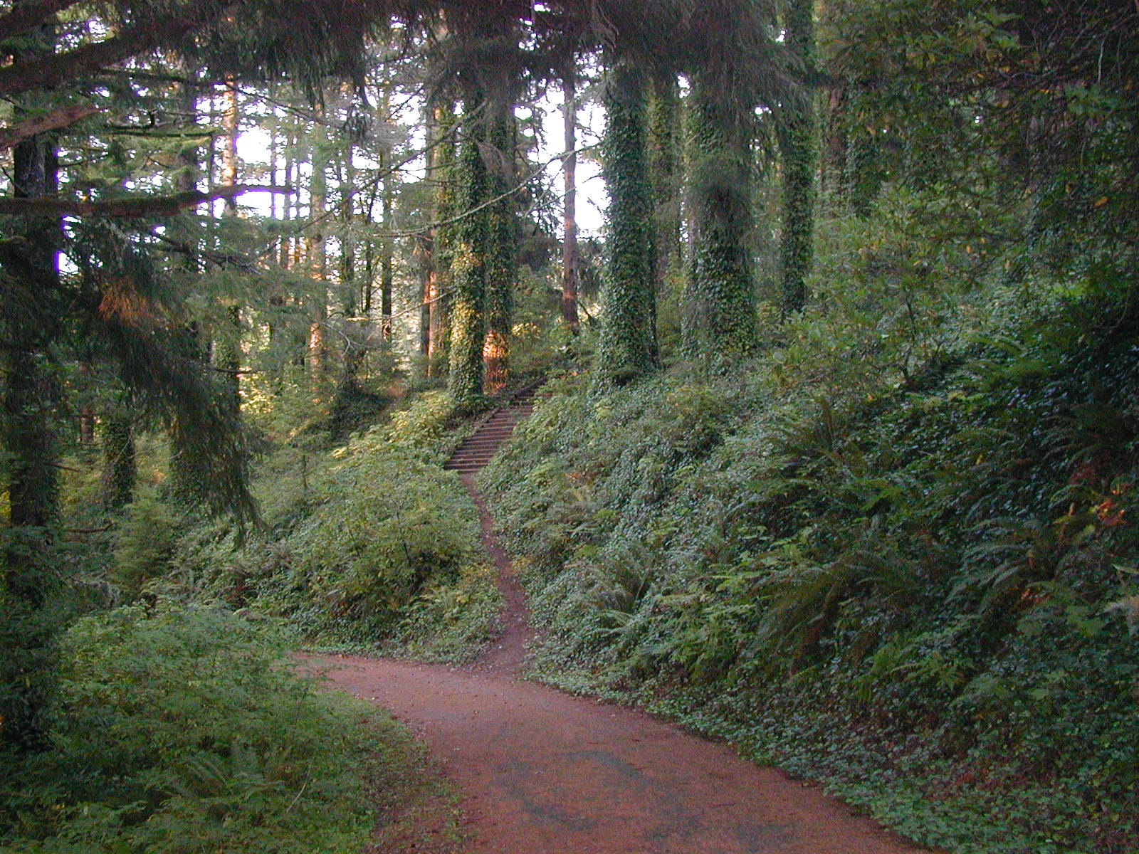 13 Hikes Through Astoria and Warrenton